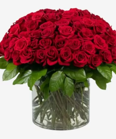 100_Stunning_Red_Roses.jpg