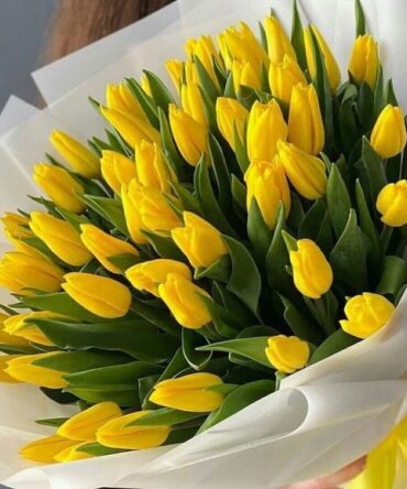 a bouquet of yellow tulips