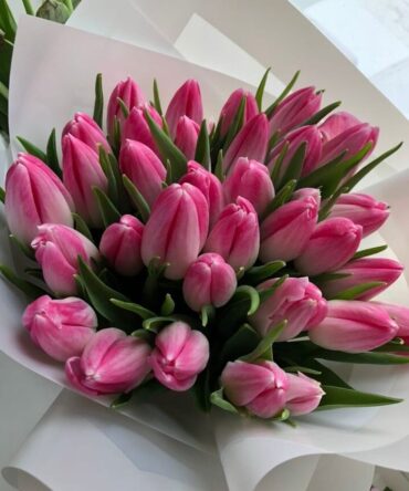 a bouquet of pink tulips